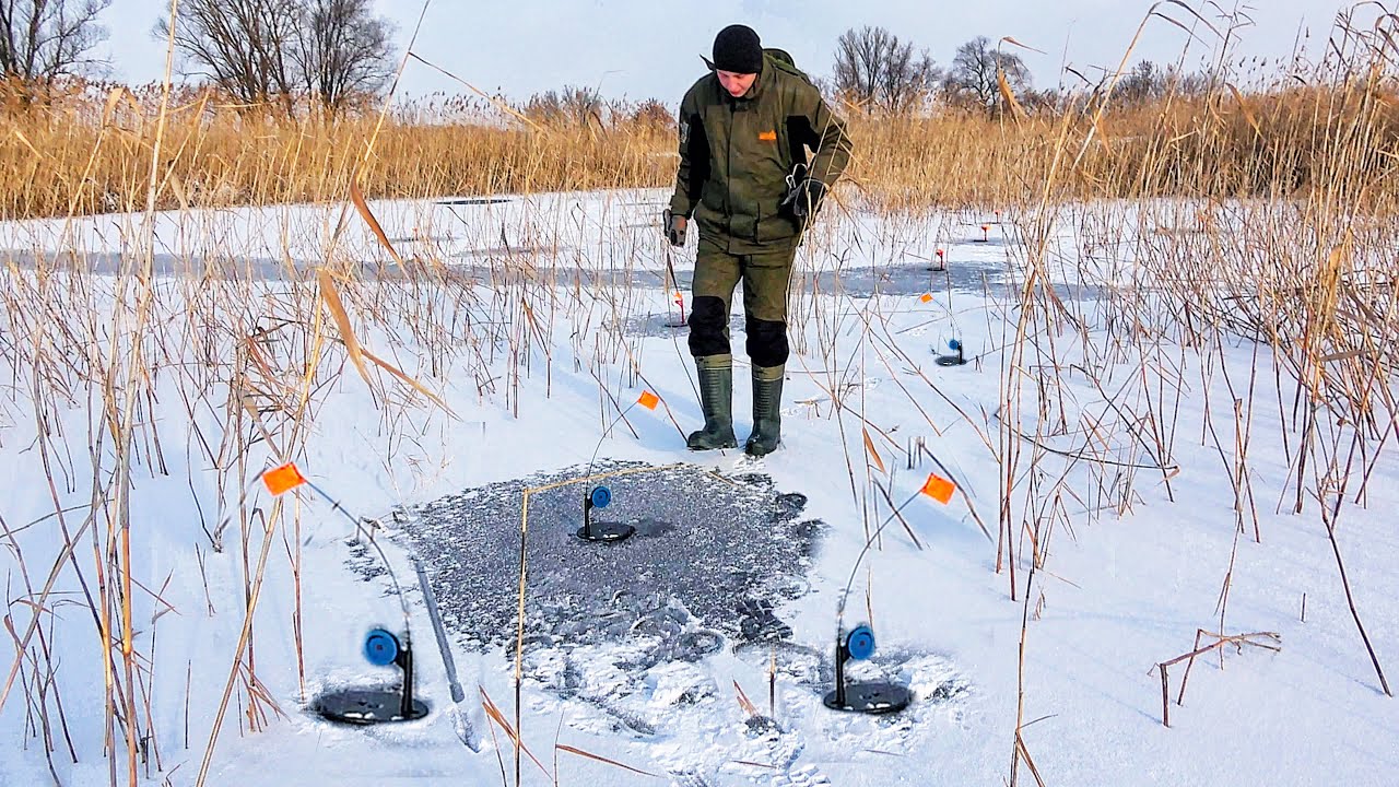 НАМ СКАЗАЛИ ЗДЕСЬ ЩУКИ НЕТ… А ОНО КАК ПОПЁРЛО!!! РЫБАЛКА на ЖЕРЛИЦЫ 2022 в ГУСТОМ КАМЫШЕ