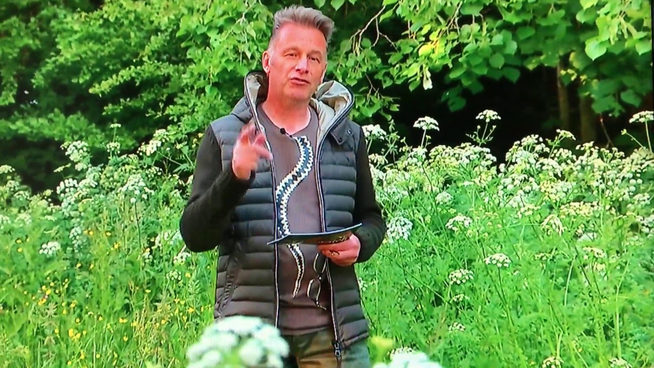 My footage featured on Springwatch 2020 - YouTube