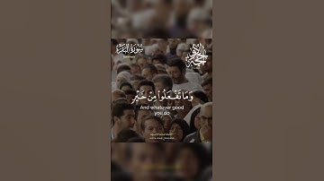 الْحَجُّ أَشْهُرٌ مَّعْلُومَاتٌ ۚ  | تلاوة عراقية - سورة البقرة - القارئ حسين الياخندي
