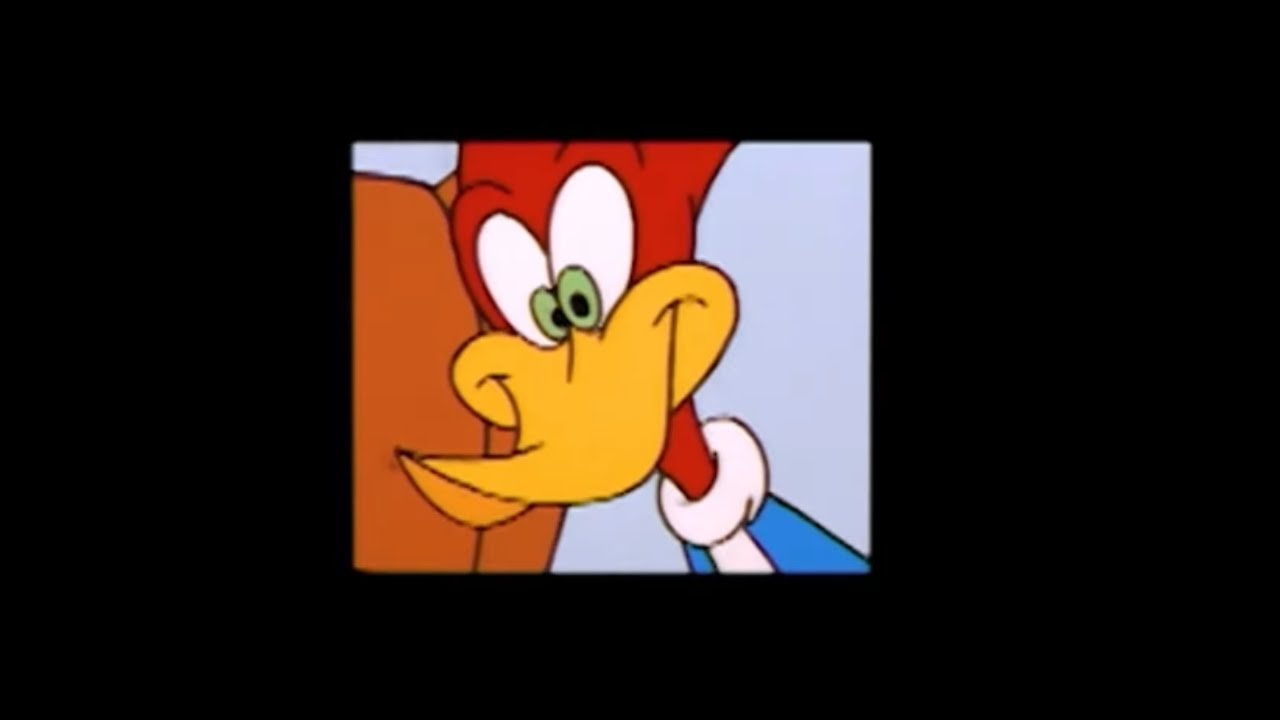 Cable Ace | Woody Woodpecker | Cartoons for Kids | WildBrain Zoo