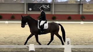 Novice 5 - 65.82% - Newbold Verdon
