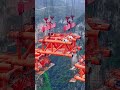 Final Arch Segment Lifting of Liuchaohe Bridge