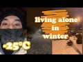 living alone during cold winter days | vlog