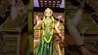 ಚಾಮುಂಡೇಶ್ವರಿಯ ವಿಜಯದ ರಾತ್ರಿ ಈ ನವರಾತ್ರಿ |  Navarathri Song YouTube Shorts