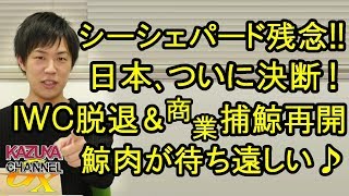 日本､ついに決断！IWC脱退＆商業捕鯨再開！将来､鯨も寿司のように欧米で人気食になるやも？