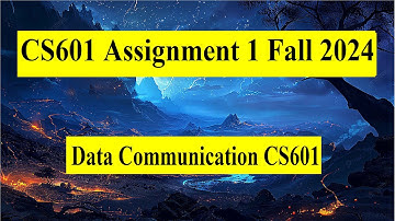 CS601 Assignment 1 Fall 2024