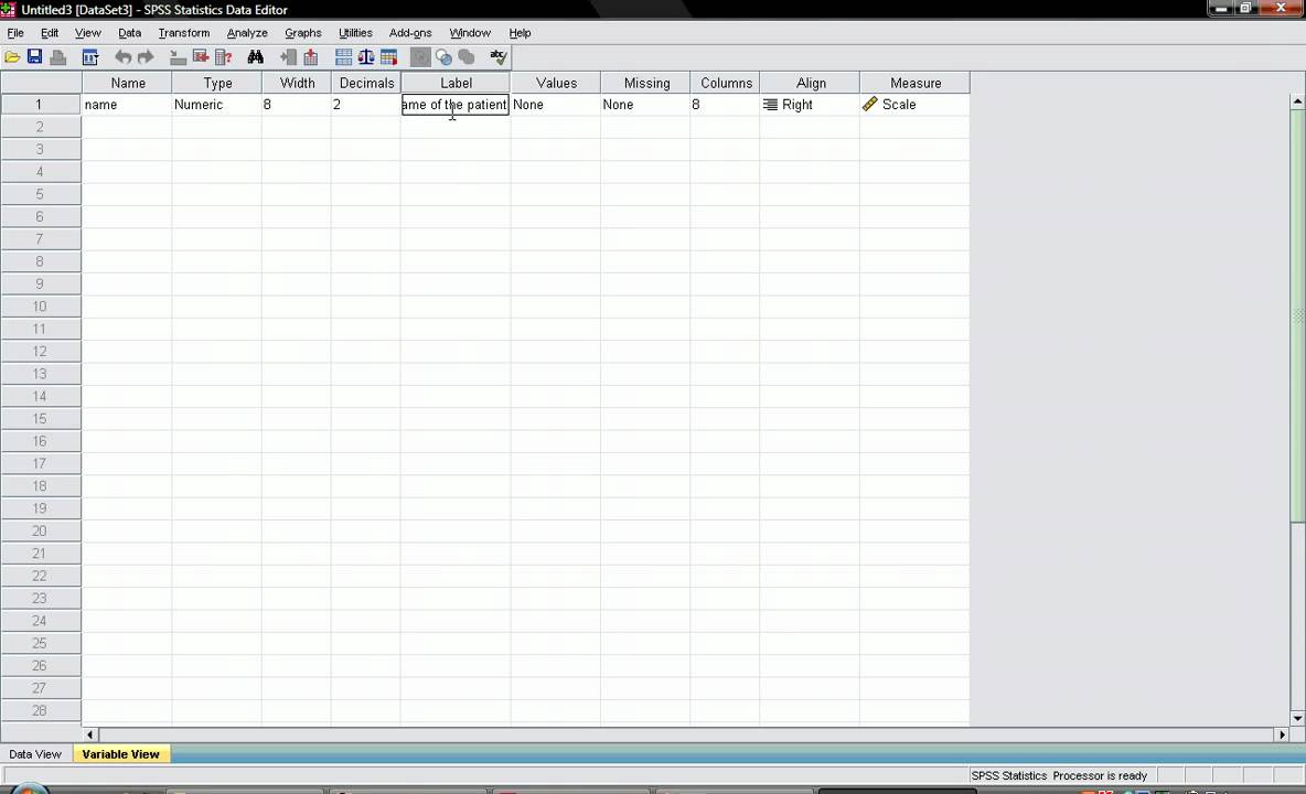 spss entering data (clip 3) - YouTube