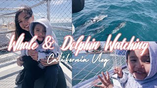 Whale/Dolphin Watching in Cali⎜Quick Blizzard Aftermath Update