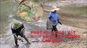 Cả Làng Tát Ao Cá Bỏ Hoang Lâu Năm Và Phát Hiện Thủy Quái Khổng Lồ