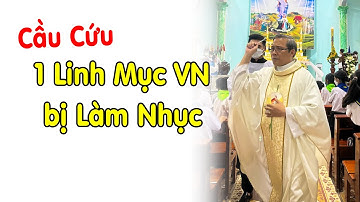 🔴Tin Mới Xót Xa 1 Linh Mục VN bị Tấn Công Trên Mạng - Xin Cầu Nguyện Cha PX Phan Khánh Dư