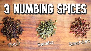 What is TIMUR PEPPER? - How to Use this Nepalese Spice Related to Szechuan Pepper - Spice Finds