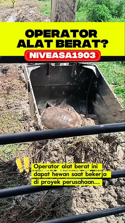 OPERATOR ALAT B3RAT DAPAT HEWAN || Niveasa