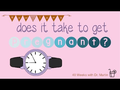 Video: What It Takes To Get Pregnant