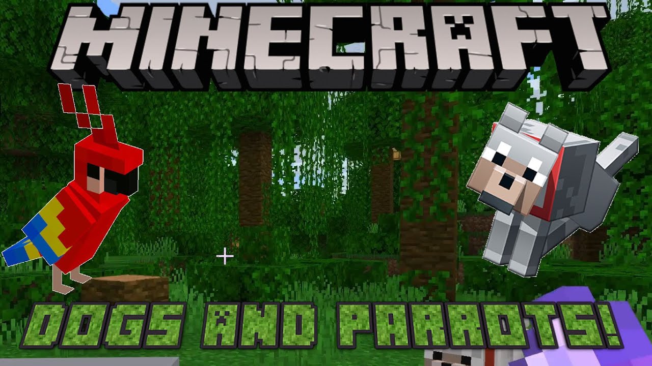 Dogs And Parrots Minecraft Ep 9 YouTube