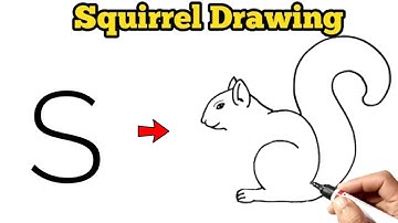 Squirrel Drawing Easy Steps For Beginners | How to Draw a Squirrel From Letter S