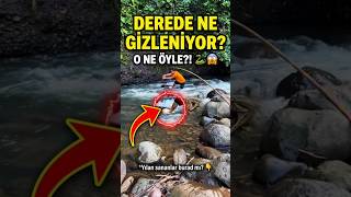 Derenin İçinden Ne Fırladı Öyle? 🐍😱​Özyanılması Öşe Ilan