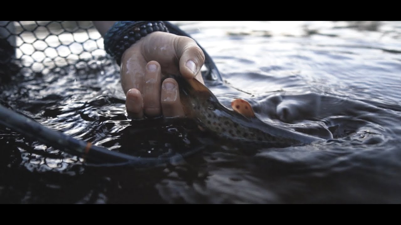Bugs and Browns Dark Waters Fly Shop fly fishing upper peninsula MI