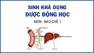 Sinh Khả Dụng  - Dược Động Học | Môn Bào Chế 1