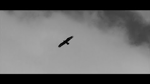 Frida Freediver Mexico