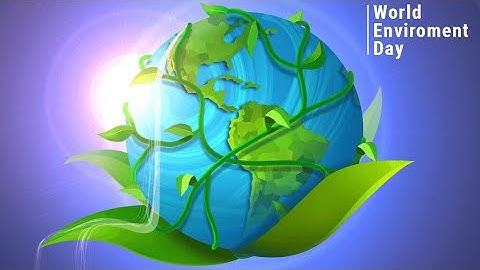 Reimagine.A Fascinating Behind-the-Scenes Look at Pollution Recreate. Restore.