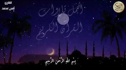 القران الكريم كامل بصوت القارئ(انس محمد)