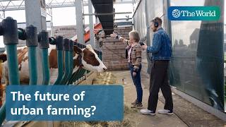 Is this floating farm in Rotterdam the solution to global food shortages?