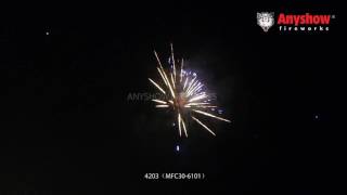 MFC30-6101