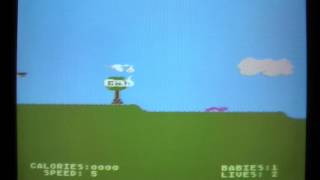 Celebrity Let's Play: Adebar (Atari 800XL) Net Worth