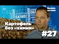 Экокартофель из Альдермыша | Бизнес на селе #27