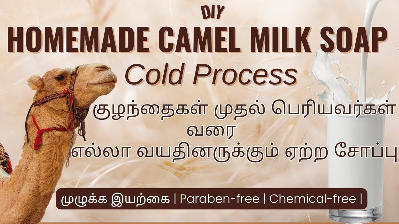 Camel Milk Soap | Skin Brightening Cold Process Soap for Glowing Skin”