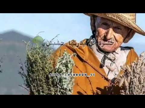 الش يخ مجيد بالخياطي ن اكلها خ بزة نعديها بصلة وط م اط يش