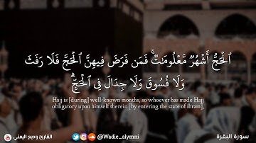 ﴿ الحج أشهر معلومات ﴾ تلاوة عذبة تفيض روعة لآيات الحج - وديع اليمني