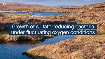 Growth of sulfate-reducing bacteria under fluctuating oxygen conditions