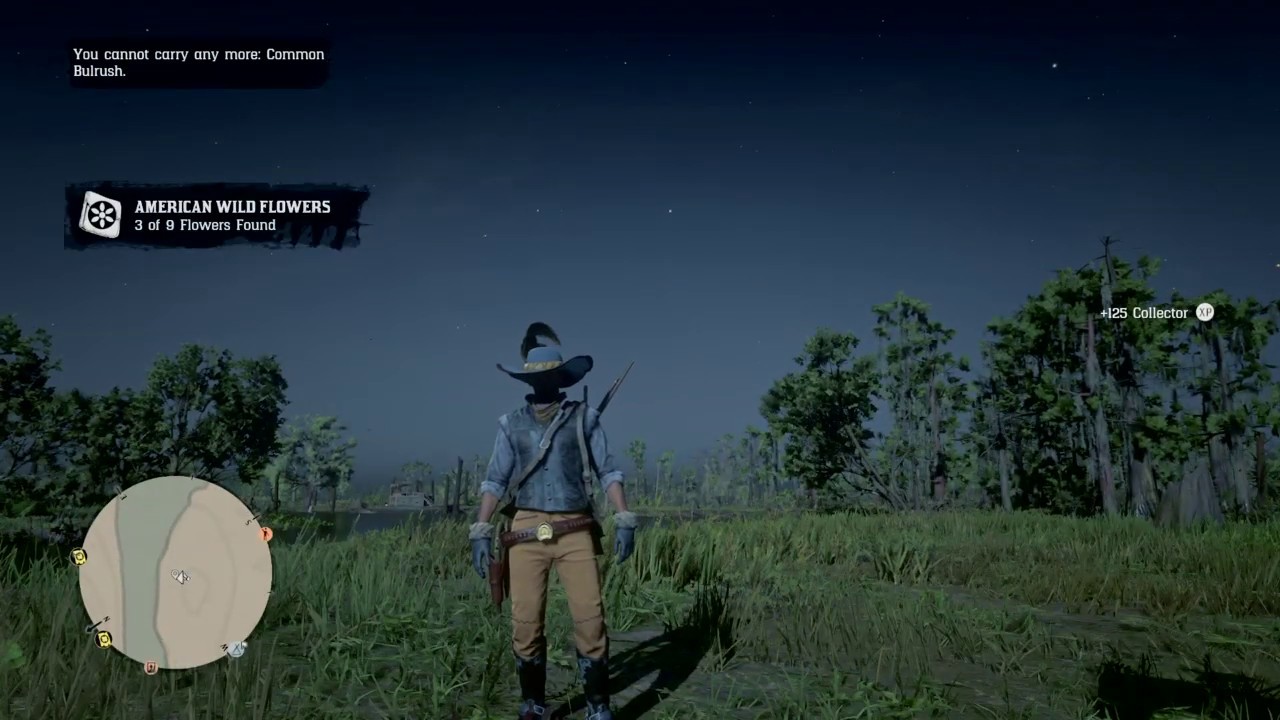RDR2 Online American Wild Flowers Bluewater Marsh YouTube
