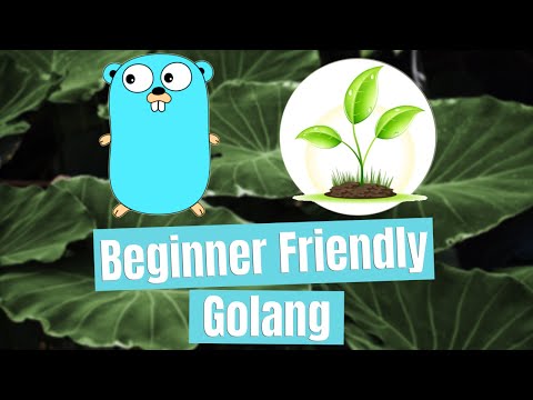 Regular Expressions - Beginner Friendly Golang