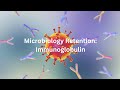 Adaptive Immunity Retention | Immunoglobulins