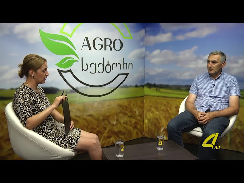 რომელ სეზონზეა რეკომენდირებული კაკლის ბაღის გაშენება