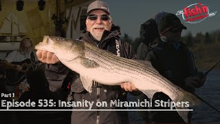 Absolute Insanity On Miramichi Stripers (Part1)