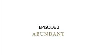 Episode 2: Abundant