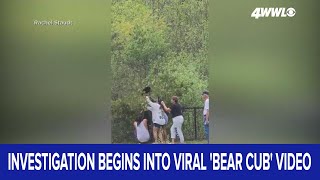 Investigation begins into viral 'bear cub' incident