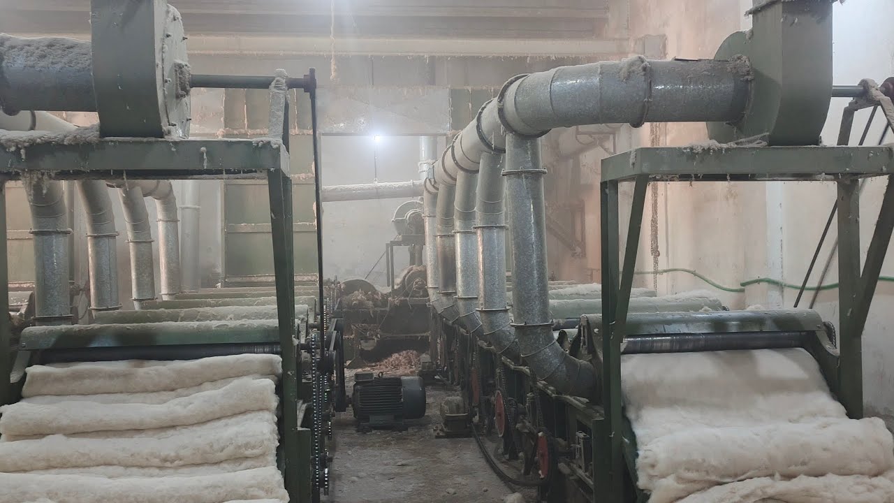 White cotton factory unit number 2