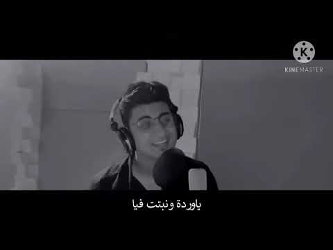 في قربك يحيي علاء ساره حسني عيد الحب ٢٠٢٠ حصرى