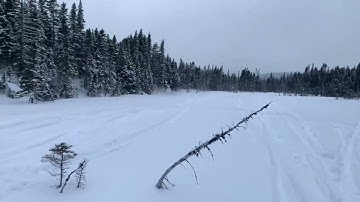 mxz 850 wheelie with jaws rowdy can