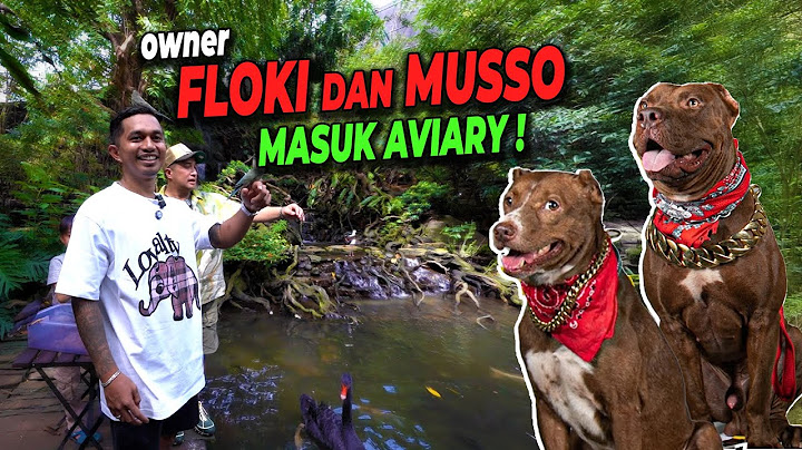 SERU! OWNER FLOKI & MUSSO JELAJAH DEHAKIMS AVIARY, SAMPE PENGEN BIKIN SENDIRI!