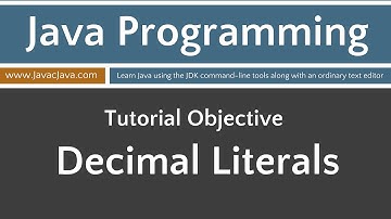 Learn Java Programming - Decimal Literals