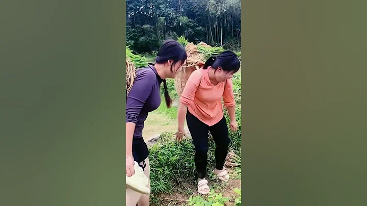 生活的需要，也是自我價值的實現。在忙碌與疲憊中，我們找到幸福與滿足，#享受大自然的美 #我的舞台我來秀 #簡單快樂的農村人 #myrurallife - 天天要聞
