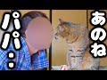 最近のパパとトラの関係をお話しします…