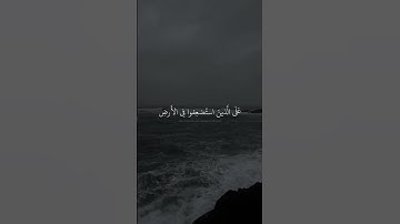المنشاوي | سورة القصص | حالات واتس دينية