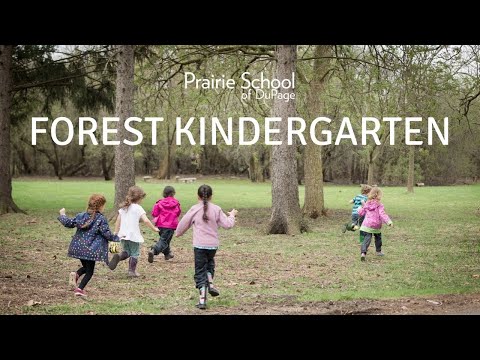 Forest Kindergarten at Prairie School of DuPage