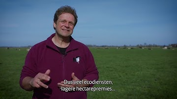 Het nieuwe GLB gaat toekomstbestendige landbouw sterker belonen